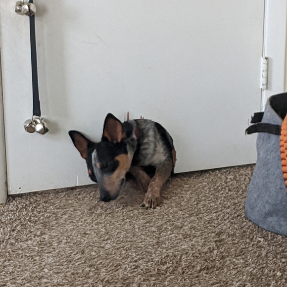 Reasonable offers always welcome 😄 - Picture 4 of 6